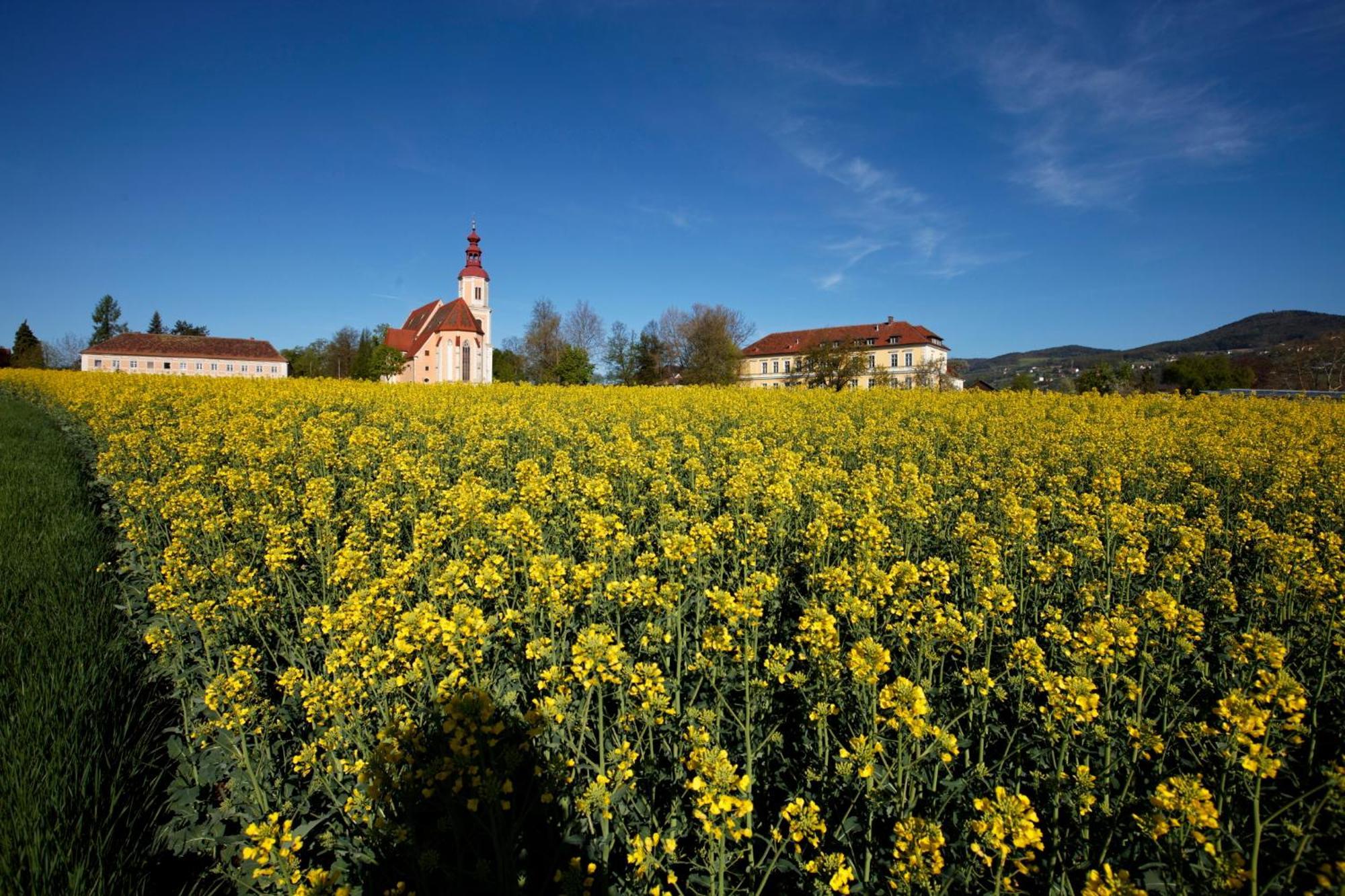 Gasthof Pack Zur Lebing Au Hartberg Exterior foto